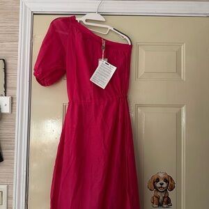Vanessa Bruno Pink Midi Dress one shoulder with Ruffle and Puff Sleeve